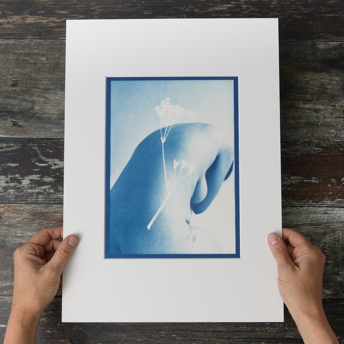 Stem Back - Original Cyanotype print