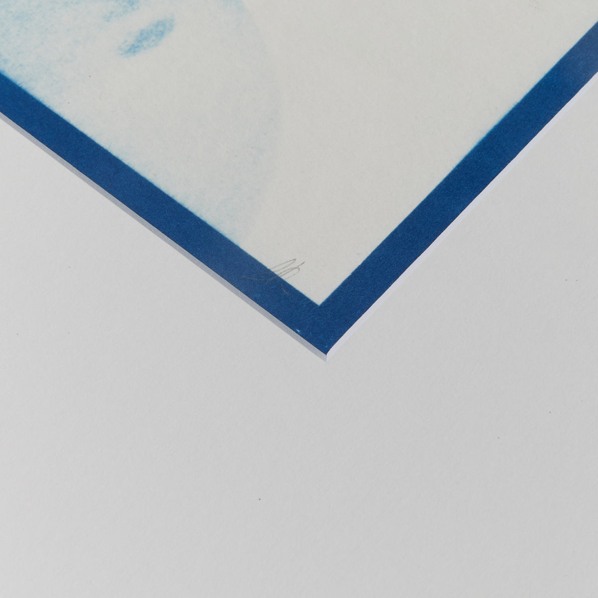 Stem Back - Original Cyanotype print