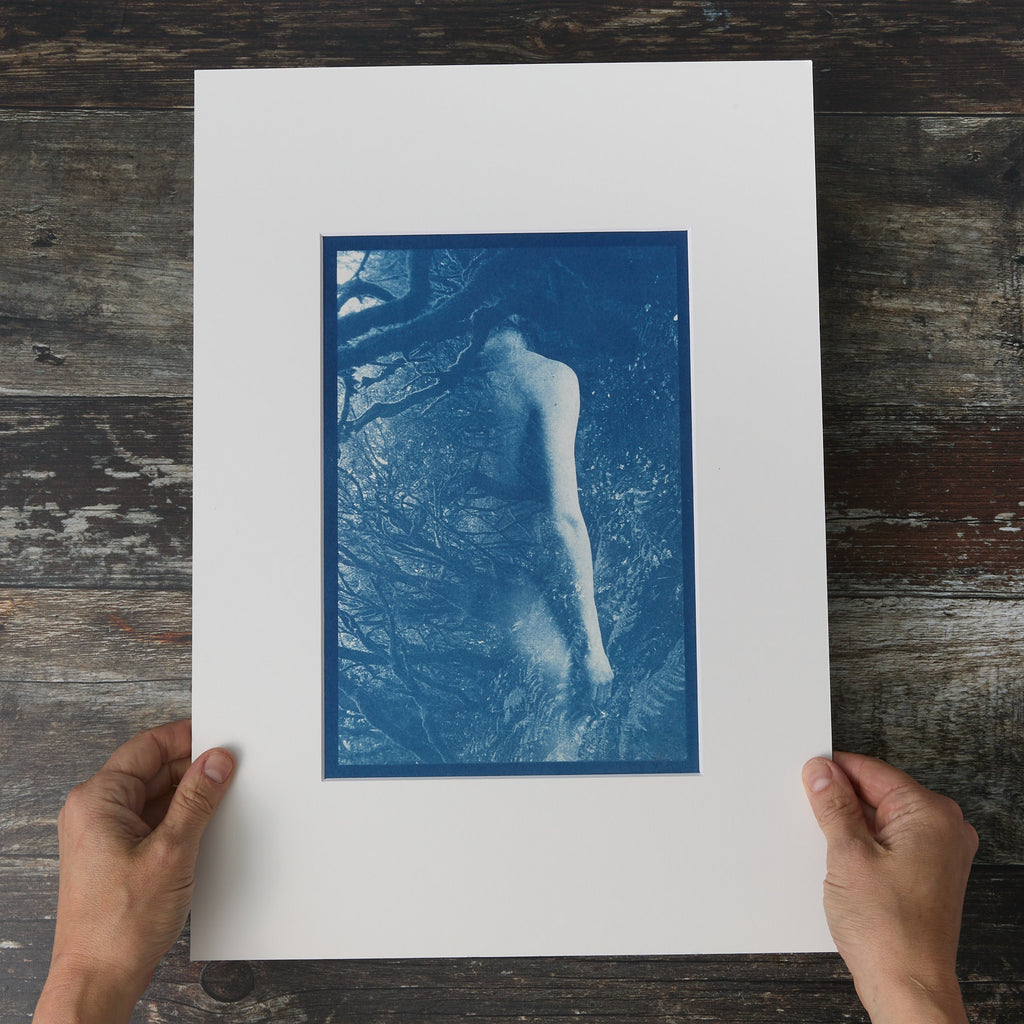 Ancient Forest - Original Cyanotype Print