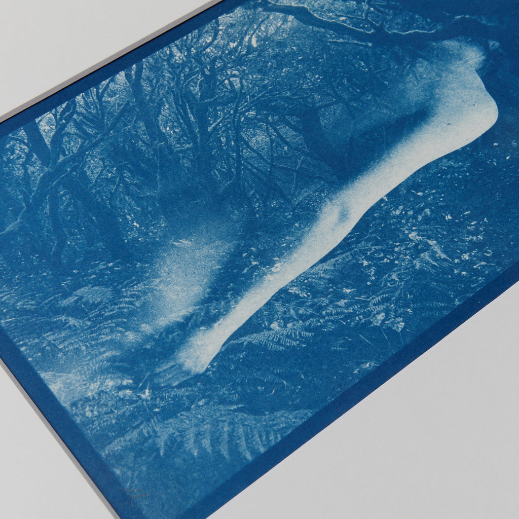 Ancient Forest - Original Cyanotype Print
