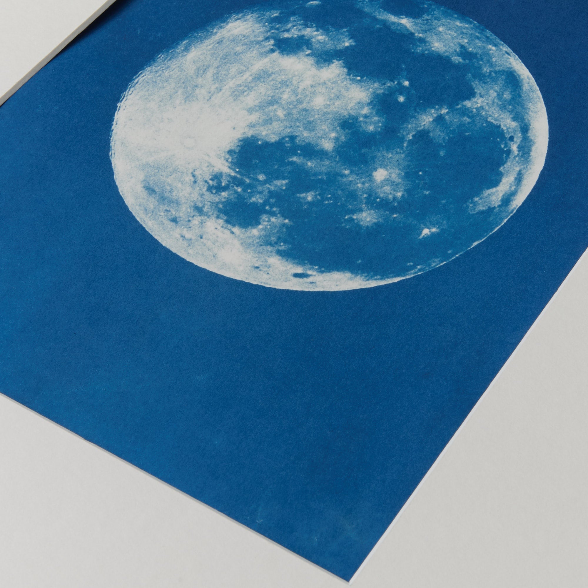 Moon - Original Cyanotype Print