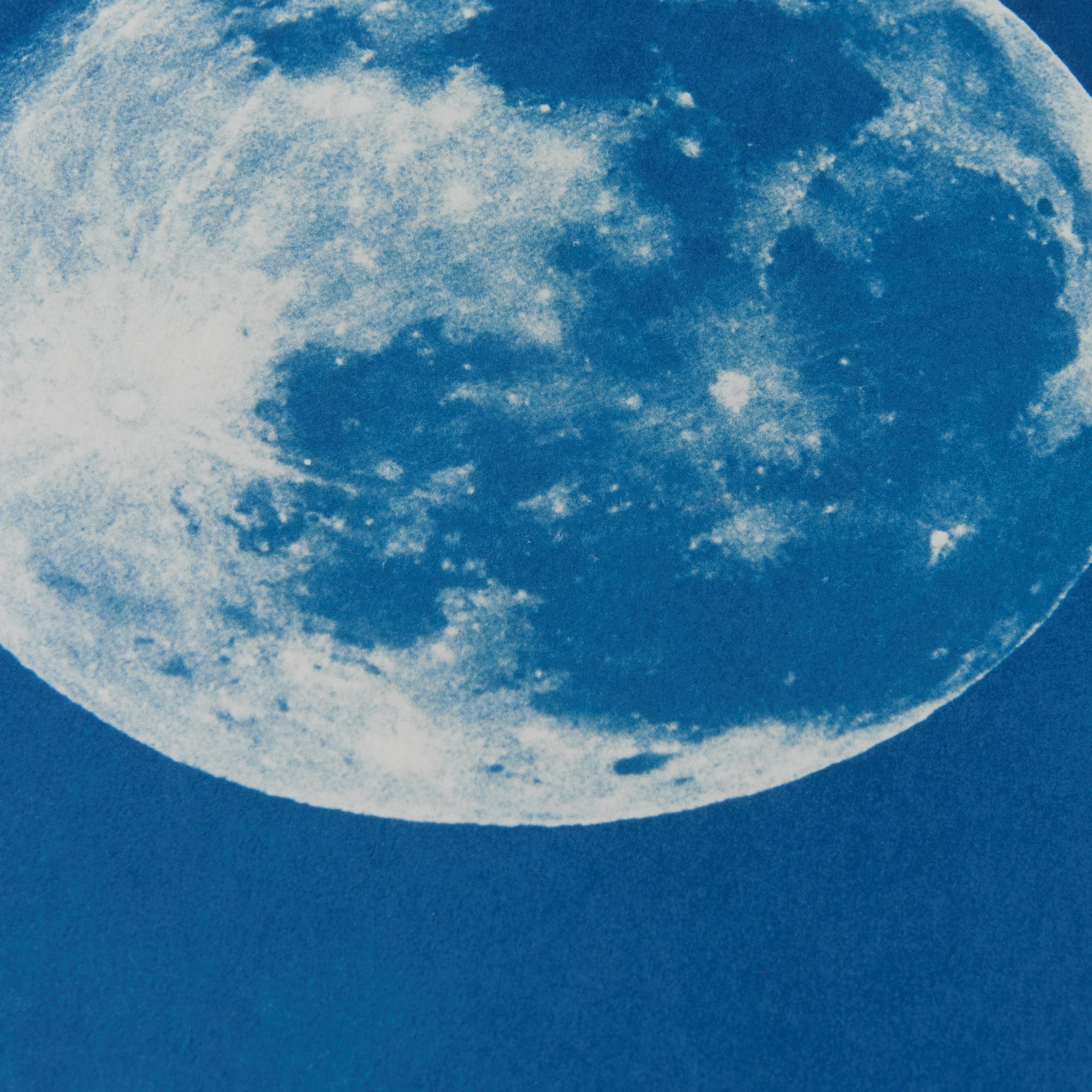 Moon - Original Cyanotype Print