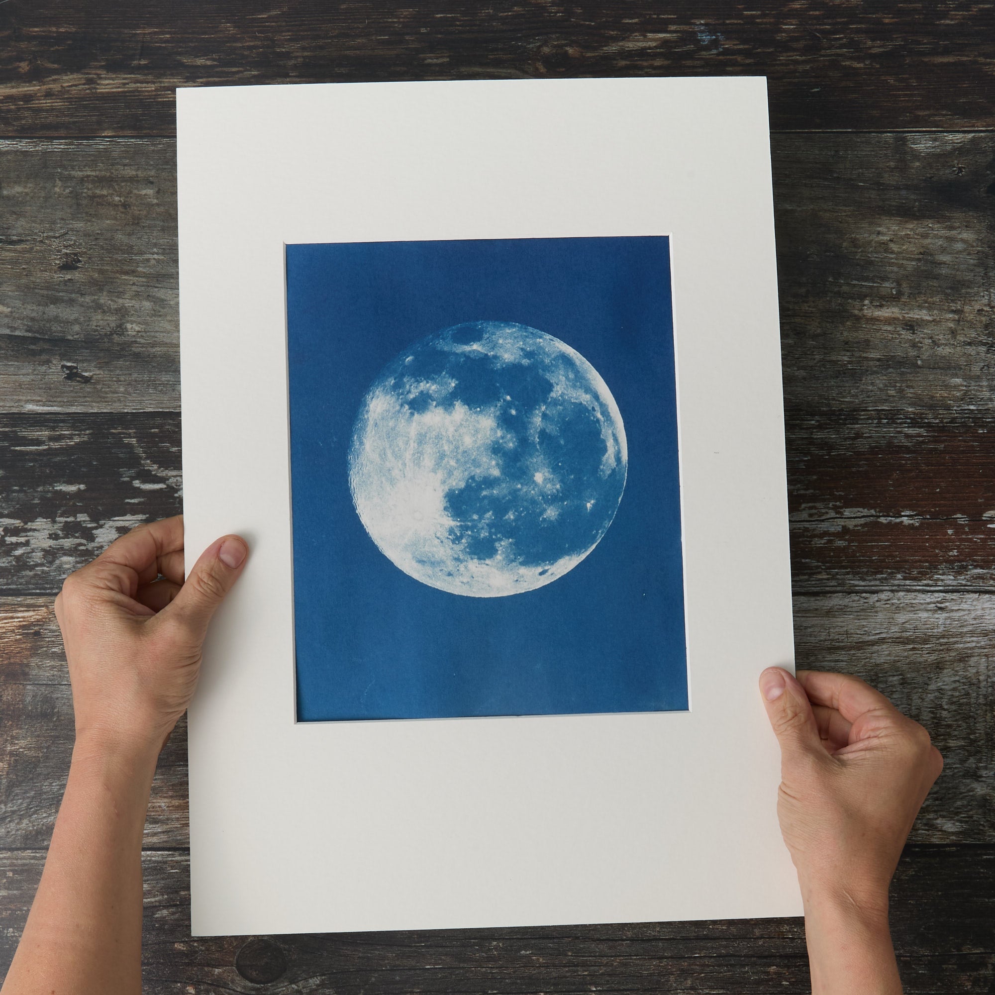 Moon - Original Cyanotype Print