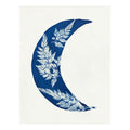 Fern Moon
