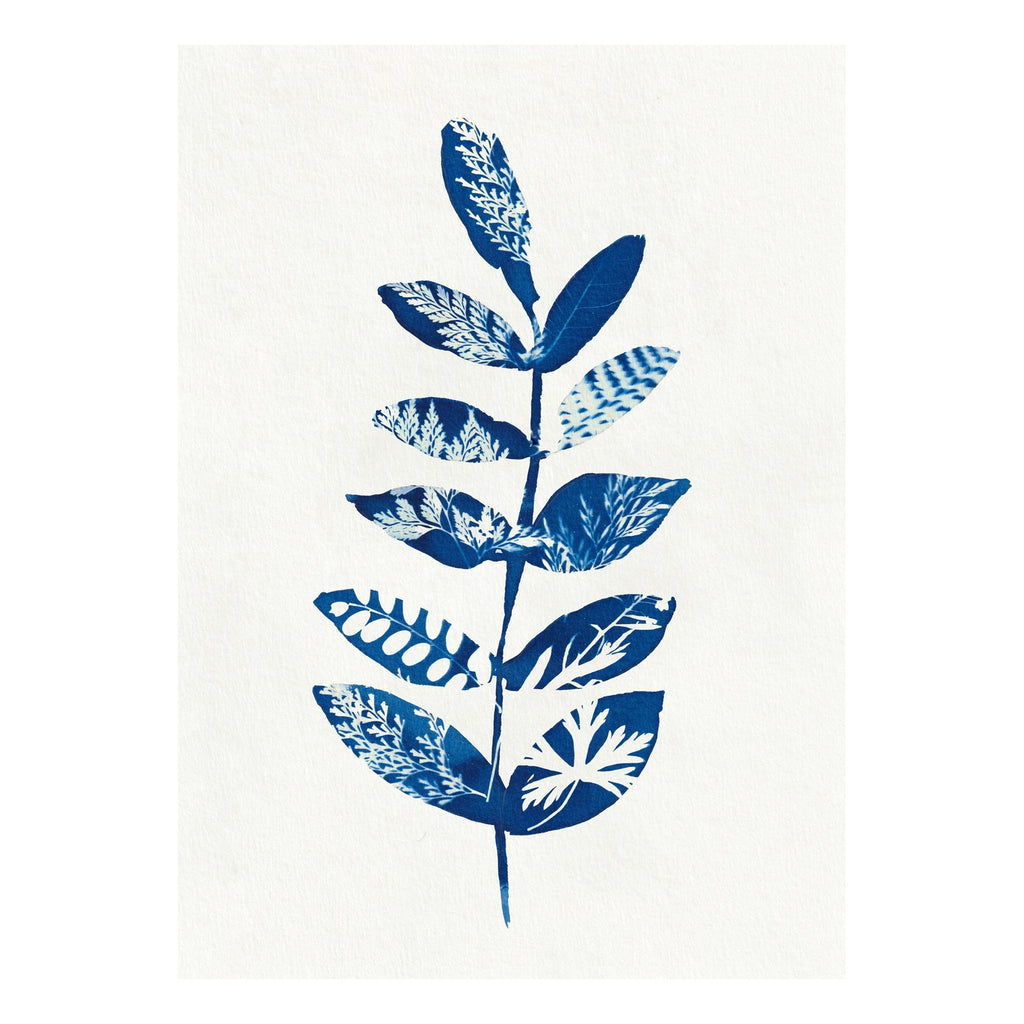 Leaf Sillhouette