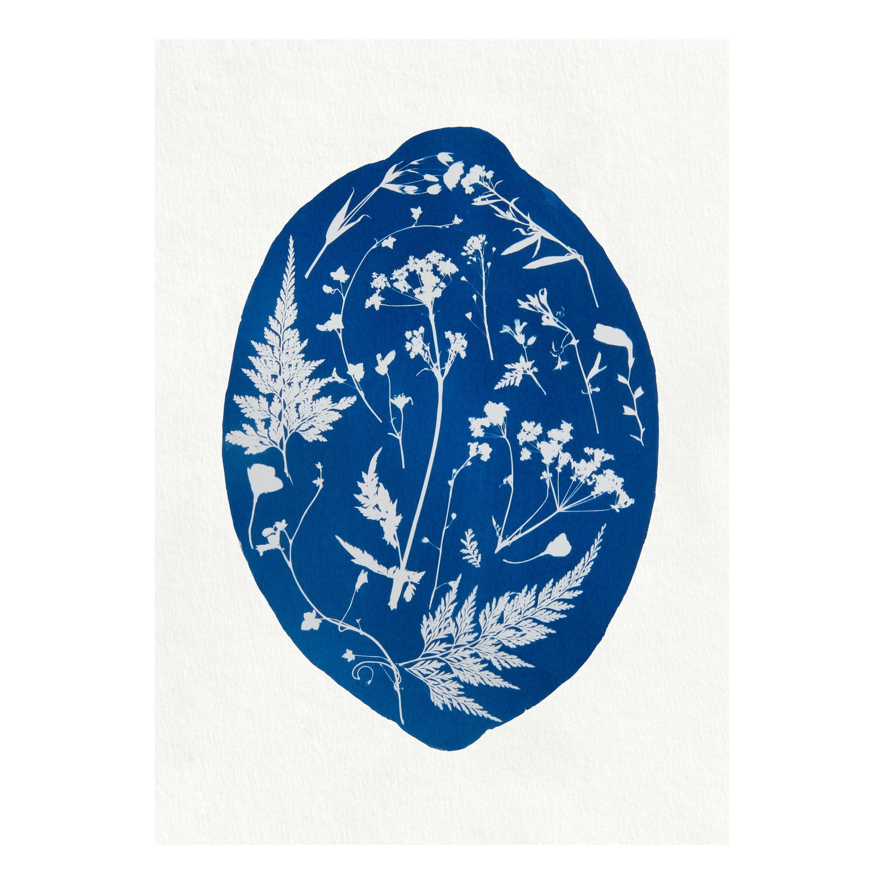 Botanical Lemon