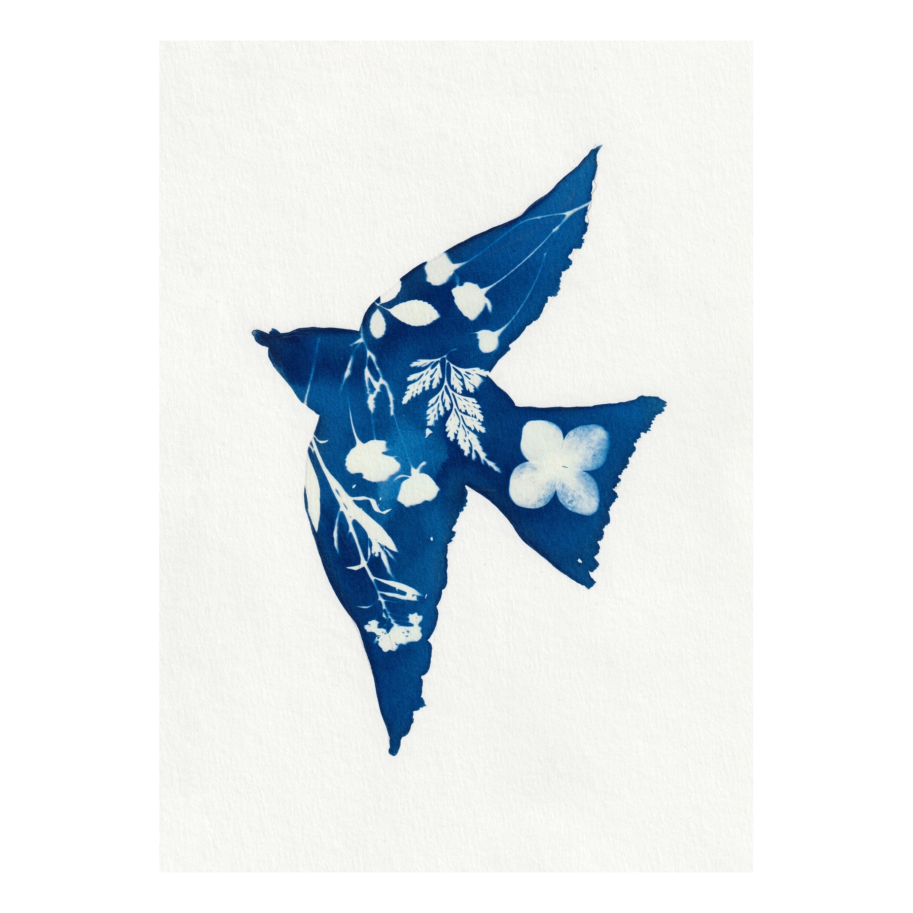 Botanical Swallow