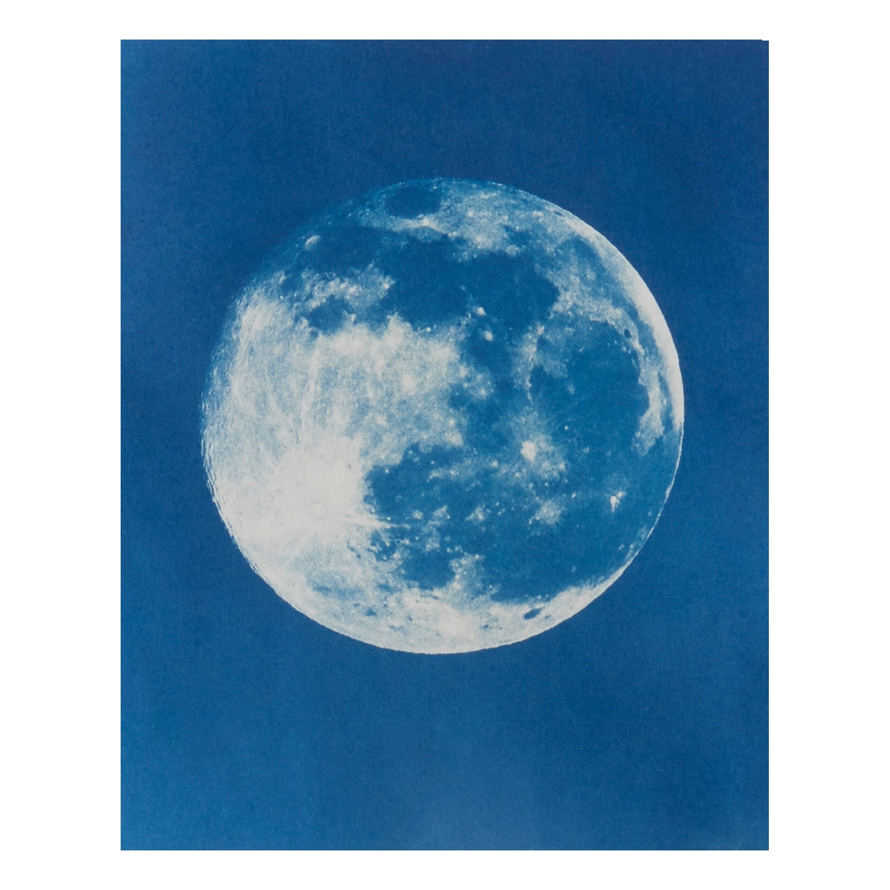Moon - Original Cyanotype Print