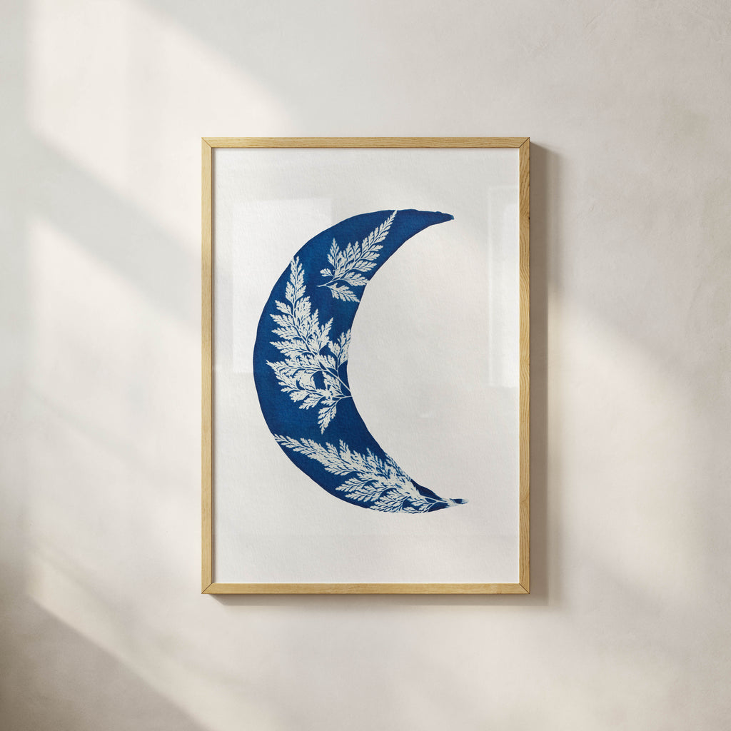 Fern Moon